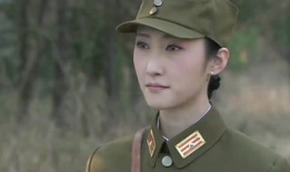 红狐电视剧全集,传奇特工的生死较量